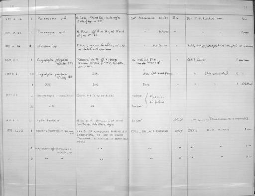 Caryophyllia paucipata Moseley 1881 - Zoology Accessions Register: Coelenterata: 1977 - 1981: page 14