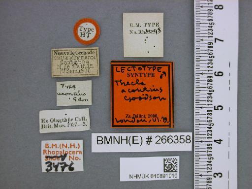 Lepidoptera Linnaeus, 1758 - NHMUK010891010_Theritas_acontius_Goodson_lectotype_Label 1