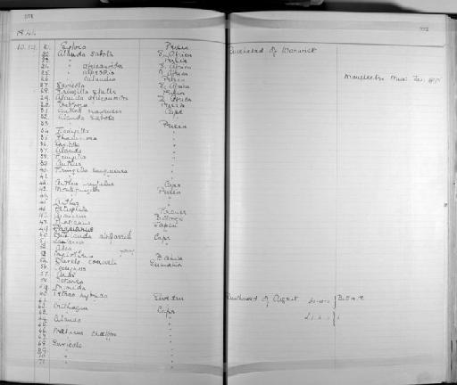 Anthus cinnamomeus rufuloides - Zoology Accessions Register: Aves (Skins): 1837 -1853: page 372