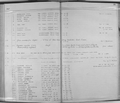Epinephelus guaza Linnaeus, 1758 - Zoology Accessions Register: Fishes: 1961 - 1971: page 125