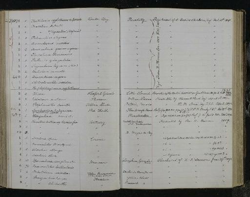 Lingulina carinata Orbigny, 1826 - NHM-UK_P_DF118_04_01_0249