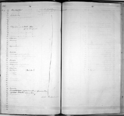 Belone caribbaea - Zoology Accessions Register: Mammals: 1844 - 1846: page 166