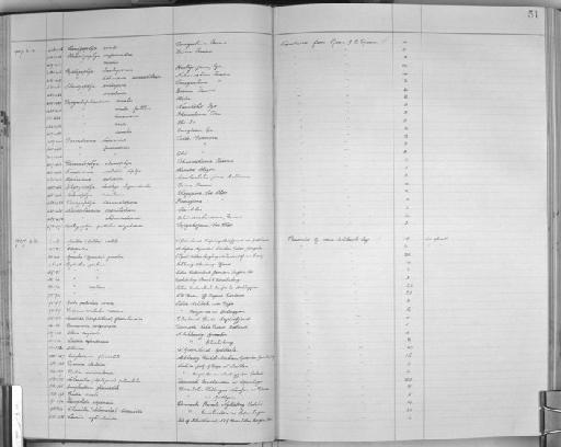 Xerophila caperata - Zoology Accessions Register: Mollusca: 1925 - 1937: page 51