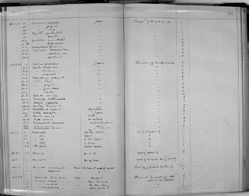 Moellendorffia (Trihelix) hiraseana subterclass Tectipleura Pilsbry, 1905 - Zoology Accessions Register: Mollusca: 1911 - 1924: page 104