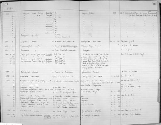 Idyellopsis minuta Gee and Fleeger - Zoology Accessions Register: Crustacea (Entomostraca): 1982 - 1993: page 18