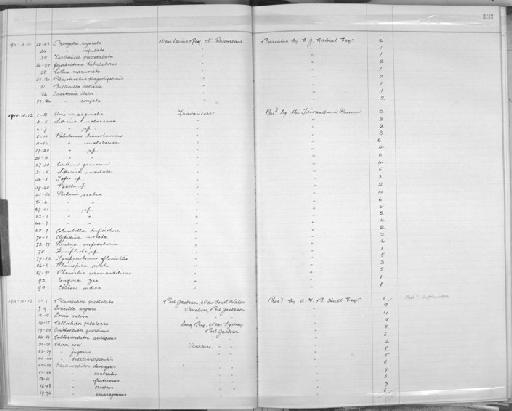 Odostomia clara subterclass Tectipleura Brazier, 1877 - Zoology Accessions Register: Mollusca: 1906 - 1911: page 131