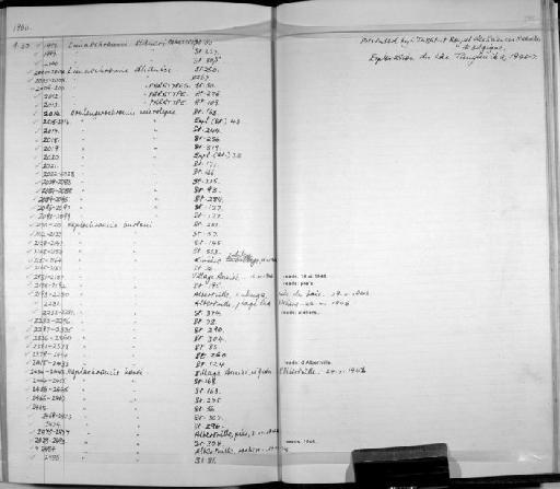 Limnochromis staneri Poll, 1949 - Zoology Accessions Register: Fishes: 1937 - 1960: page 250