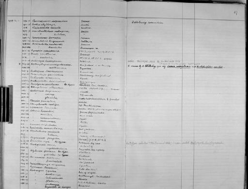 Paramphithoe fragilis Goes, 1866 - Zoology Accessions Register: Crustacea - Budde Lund Collection 1921 & Stebbing Collection 1928: page 47