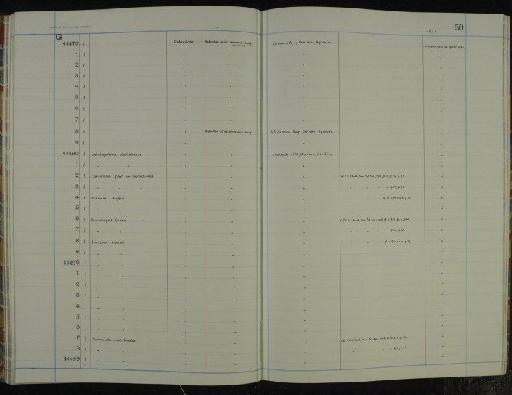 Carcassonnella multilineata (Reed, 1920) - NHM-UK_P_DF118_06_51_0101