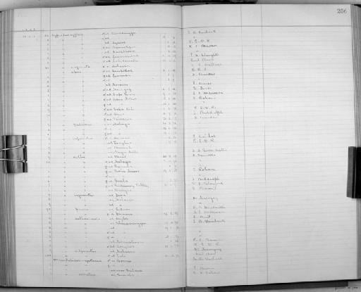 Cypselus tectorum Jerdon, 1870 - Bird Group Collector's Register: Aves - Tweedale Collection: 1887 - 1892: page 256