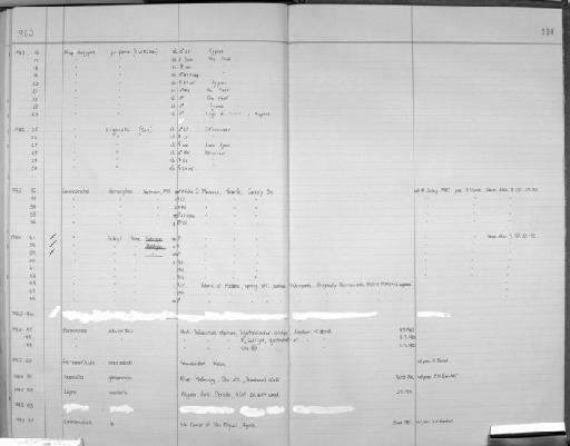 Loxoconcha linleyi Horne, 1982 - Zoology Accessions Register: Crustacea (Entomostraca): 1963 - 1982: page 234