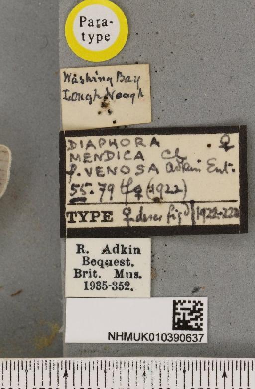 Diaphora mendica Adkin, 1922 - NHMUK_010390637_a_label_516777