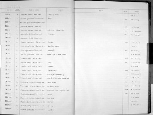 Thyasira falklandica (E. A. Smith, 1885) - Zoology Accessions Register: Mollusca: 1962 - 1969: page 64