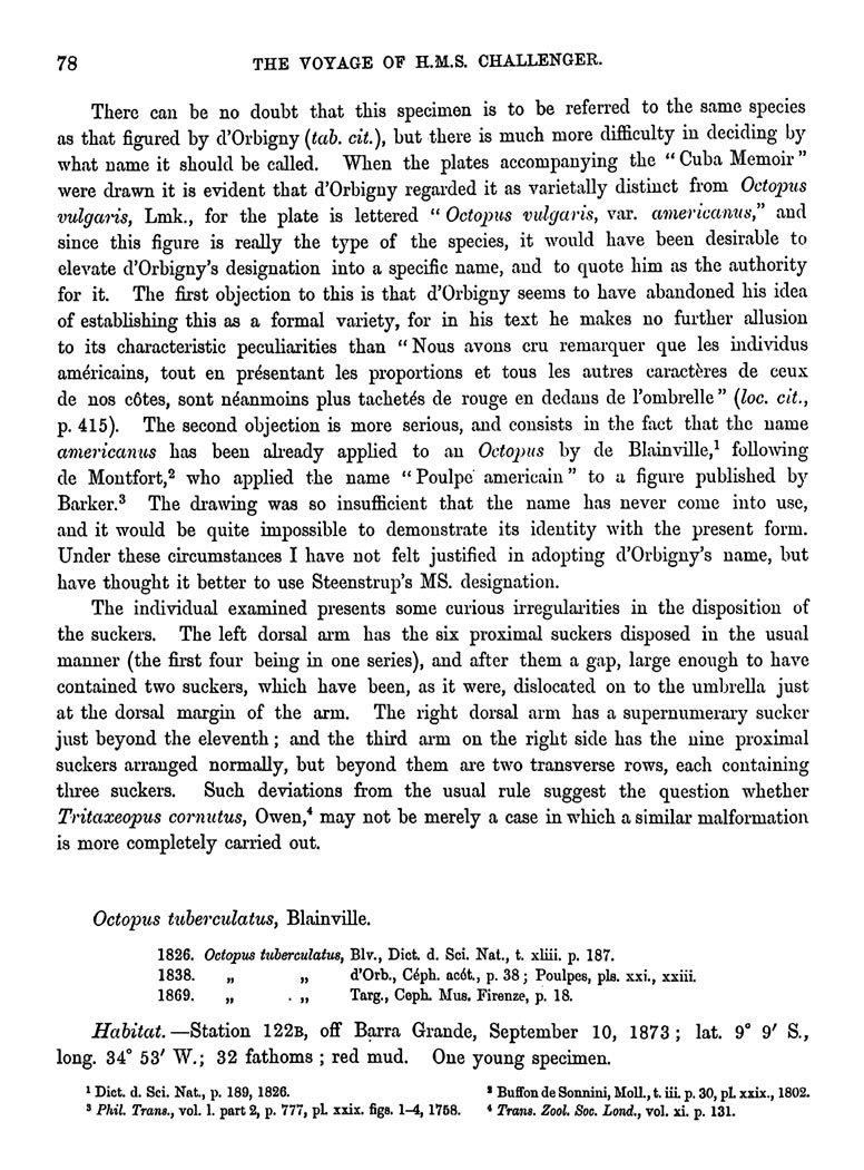 To NHMUK collection (Octopus occidentalis Steenstrup in Hoyle, 1886; HOLOTYPE; NHMUK:ecatalogue:3503332)