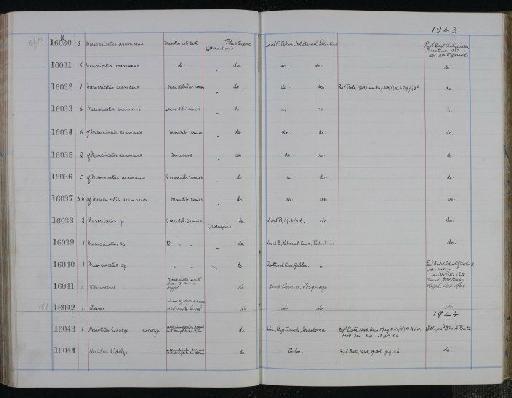 Mesocricetus aramaeus - NHM-UK_P_DF118_03_34_0207