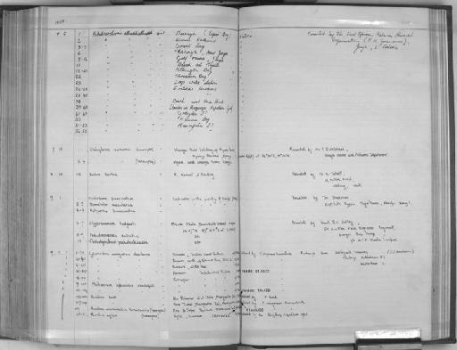 Astyanax bimaculatus (Linnaeus, 1758) - Zoology Accessions Register: Fishes: 1937 - 1960: page 201