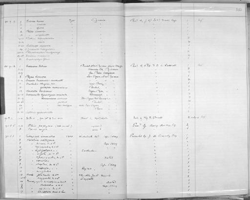 Helix (Macrocyclis) liparoxantha subterclass Tectipleura Melvill & Ponsonby, 1892 - Zoology Accessions Register: Mollusca: 1906 - 1911: page 142