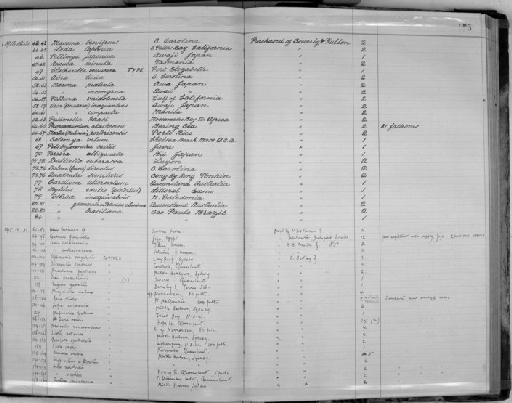 Duplicaria ballina Hedley, 1915 - Zoology Accessions Register: Mollusca: 1911 - 1924: page 175