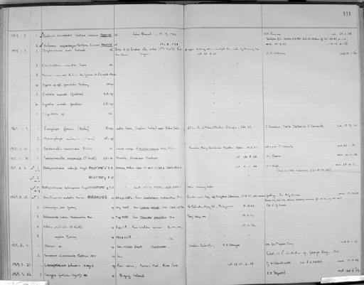 Bathyconchoecia septemspinosa Angel, 1970 - Zoology Accessions Register: Crustacea (Entomostraca): 1963 - 1982: page 114