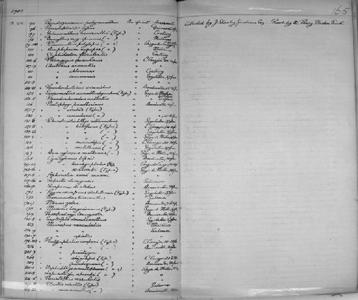 Sebastapistes nuchalis (Günther, 1874) - Zoology Accessions Register: Reptiles & Fishes: 1904 - 1925: page 165