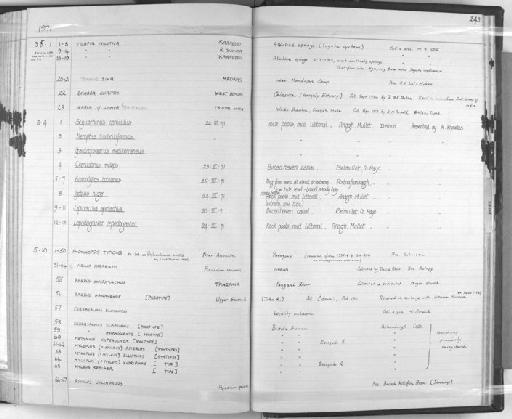 Serrasalmo scapularis Günther, 1864 - Zoology Accessions Register: Fishes: 1961 - 1971: page 243