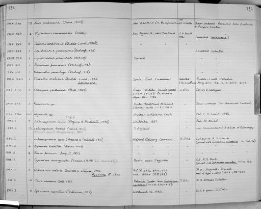 Antarcturus bovina Brandt and Wagele, 1988 - Zoology Accessions Register: Crustacea: 1984 - 1991: page 134