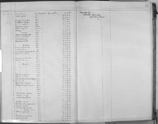 Turdus olivaceus smithi Bonaparte, 1850 - Zoology Accessions Register: Aves (Skins): 1909 - 1911: page 33