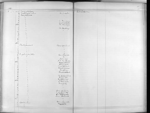 Opopsitta diopthalma coxeni - Zoology Accessions Register: Aves (Skins): 1880 -1884: page 153