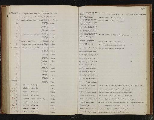 Lepidocyclina (Eulepidina) inaequalis (J&C) - NHM-UK_P_DF118_04_03_0363