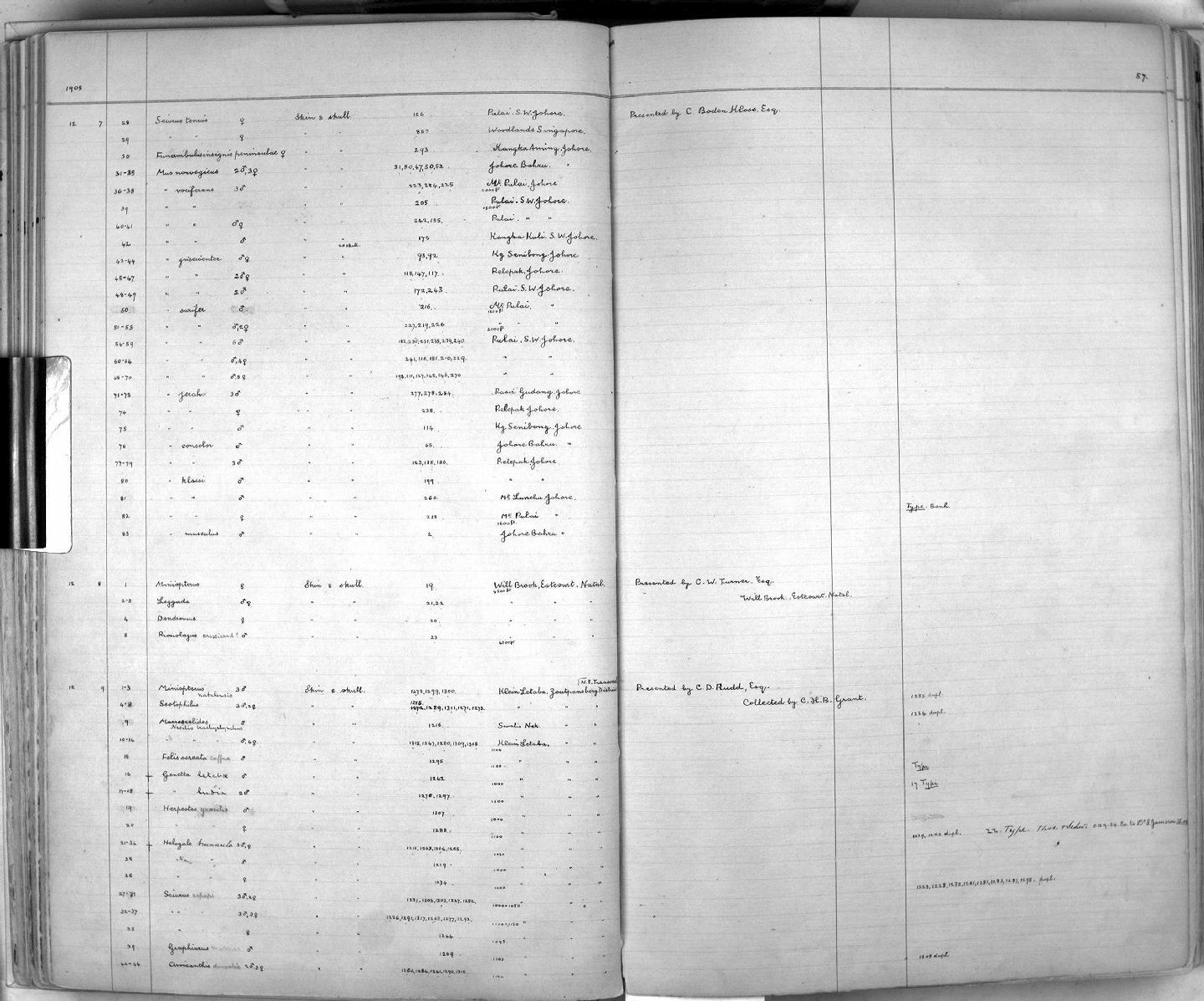 Zoology Accessions Register: Mammals: 1904 - 1910: page 57