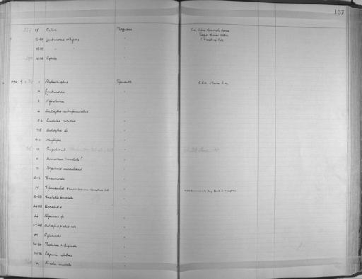 Sacconereis - Zoology Accessions Register: Annelida & Echinoderms: 1924 - 1936: page 157