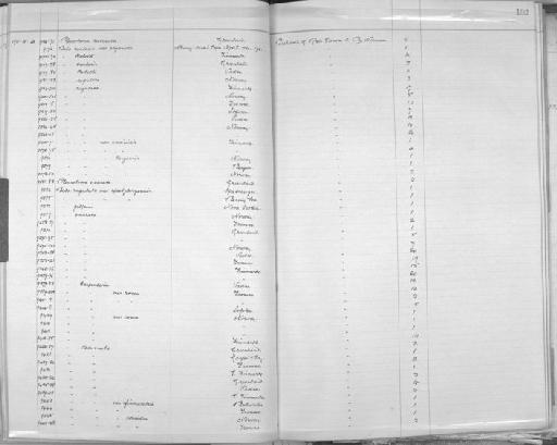 Bela rugulata schneideri - Zoology Accessions Register: Mollusca: 1906 - 1911: page 182