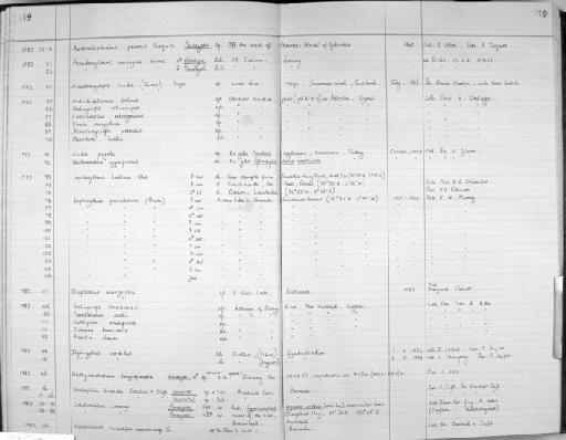 Acartia clausi Giesbrecht, 1889 - Zoology Accessions Register: Crustacea (Entomostraca): 1982 - 1993: page 19