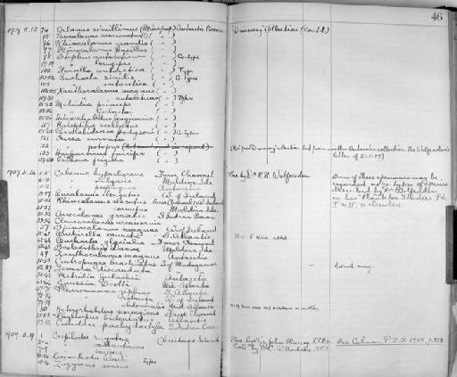 Potamon turgidulum subsection Heterotremata section Eubrachyura - Zoology Accessions Register: Crustacea: 1905 - 1935: page 45