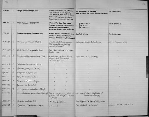 Boreonymphon robustum (Bell, 1855) - Zoology Accessions Register: Crustacea: 1976 - 1984: page 76