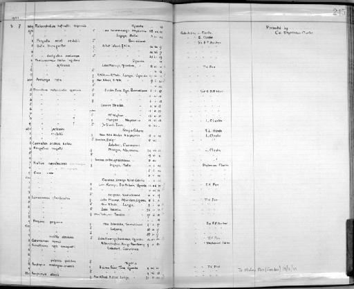 Francolinus castaneicollis ogoensis Mackworth-Praed, 1920 - Zoology Accessions Register: Aves (Skins): 1921 - 1923: page 245