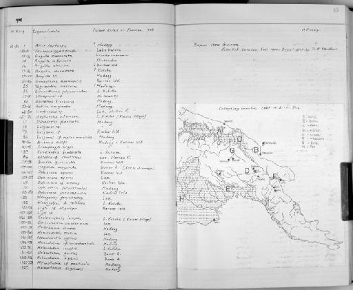 Ophiocara porocephala (Valenciennes, 1837) - Zoology Accessions Register: Fishes: 1986 - 1994: page 58