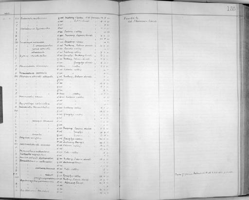 Paradoxornis webbiana ricketti Rothschild,  1922 - Zoology Accessions Register: Aves (Skins): 1921 - 1923: page 155