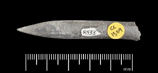 Simpsonibelus expansus (Simpson) - PI CC 1309 - belemnite