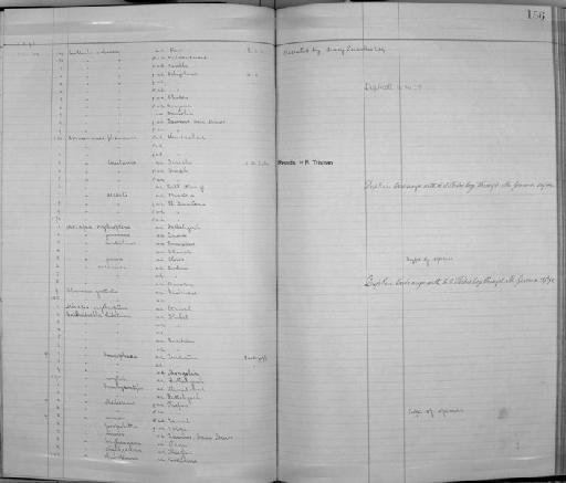 Alaudula seebohmi Sharpe, 1890 - Zoology Accessions Register: Aves (Skins): 1888 -1892: page 156