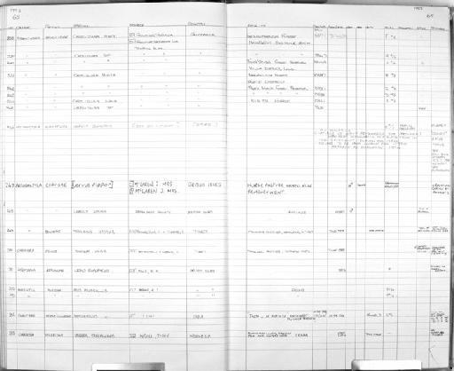 Lepus (Eulagos) europaeus Pallas, 1778 - MA24 Mammal register scan