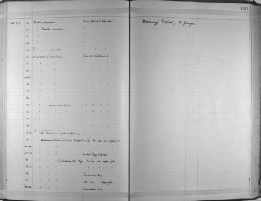 Microscolex aquarum-dulcium Beddard, 1890 - Zoology Accessions Register: Annelida & Echinoderms: 1924 - 1936: page 160