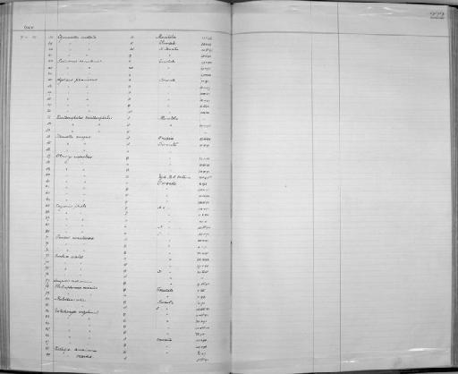 Cyanocitta cristata bromia Oberholser, 1921 - Zoology Accessions Register: Aves (Skins): 1896 -1900: page 222