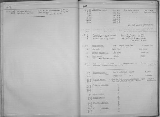 Lethrinops christyi Trewavas, 1931 - Zoology Accessions Register: Fishes: 1971 - 1985: page 54