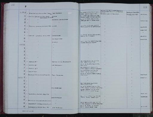 Fissurina pseudoannectens jones laticarinata Jones, 1984 - NHM-UK_P_DF118_04_07_0227