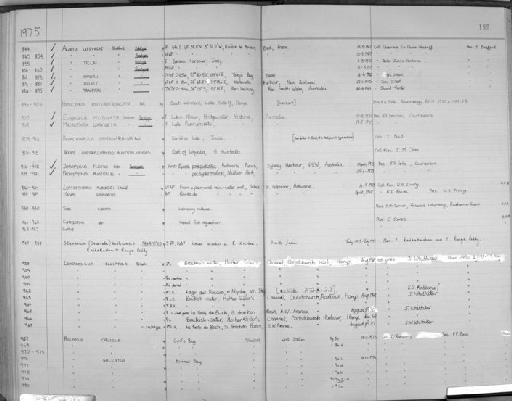 Loxoconcha ellliptica Brady - Zoology Accessions Register: Crustacea (Entomostraca): 1963 - 1982: page 189