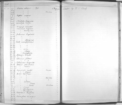 Barbus tropidolepis Boulenger, 1900 - Zoology Accessions Register: Fishes: 1912 - 1936: page 359