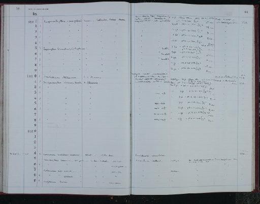 Camptocythere toarciana Bate and Coleman, 1975 - NHM-UK_P_DF118_04_10_0123