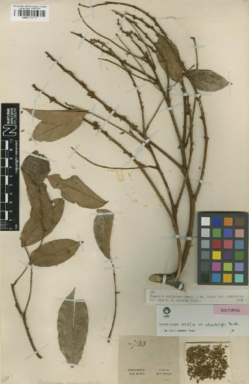 Deguelia rufescens ined. (Benth.) A.M.G.Azevedo - BM001125177
