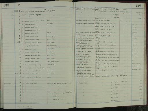 Notorotalia tainuia Doreen, 1948 - NHM-UK_P_DF118_04_06_0493
